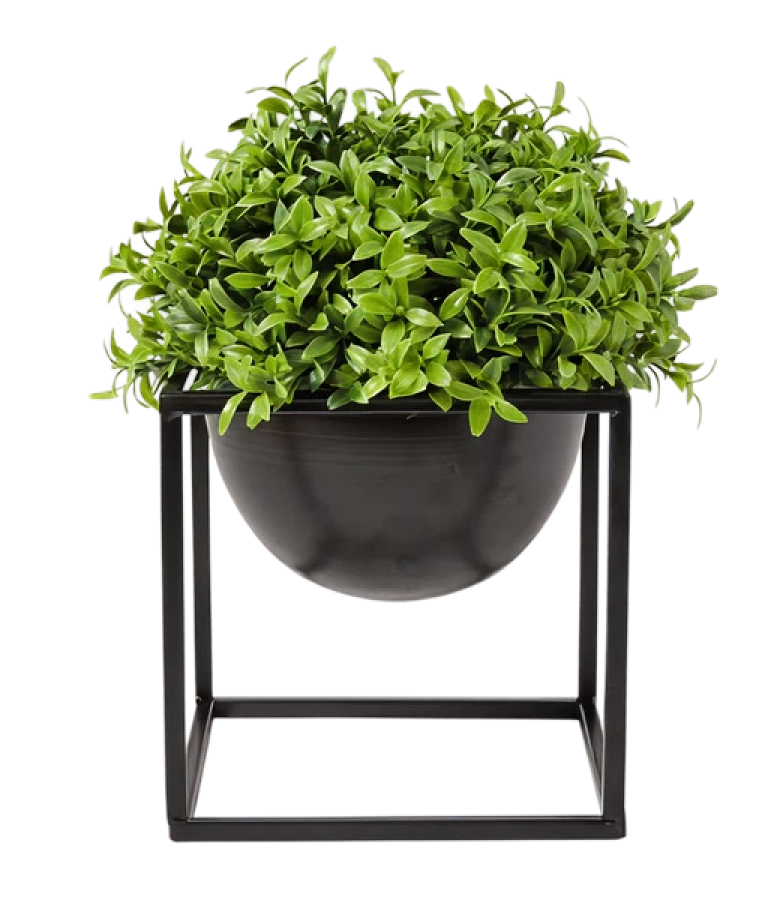 Styling trends and much more